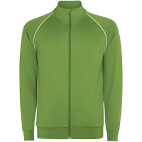 Verde helecho