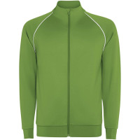 Verde helecho